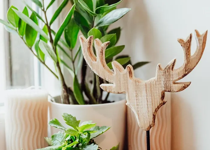 Przygoda W Karpaczu Karpacz