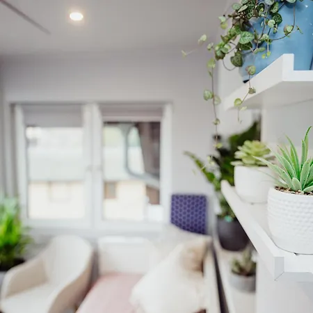 Przygoda W Karpaczu * Karpacz